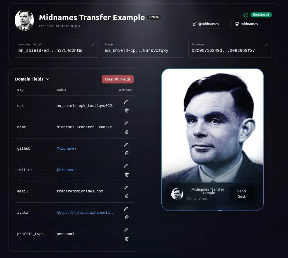 Domain ownership verification